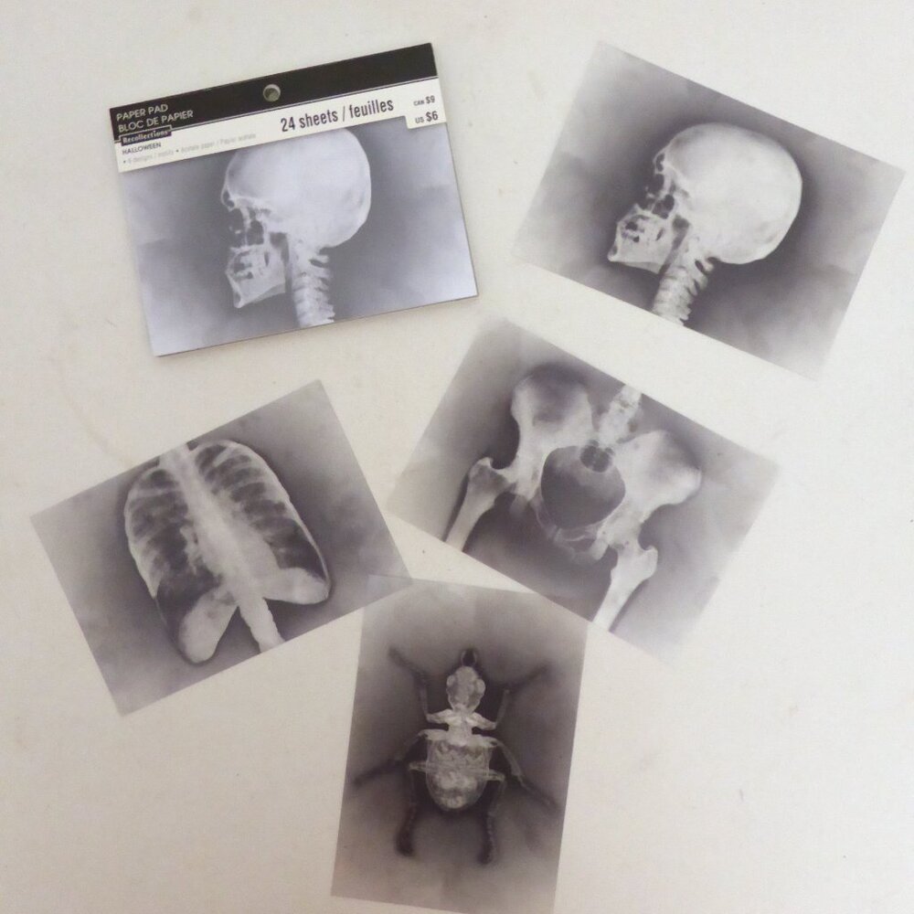 6” x 4” 24 HALLOWEEN ACETATE PLASTIC PAPER X-RAY IMAGE PAD